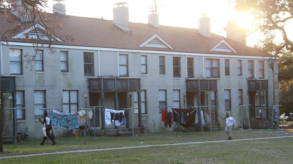 Community support and solidarity image